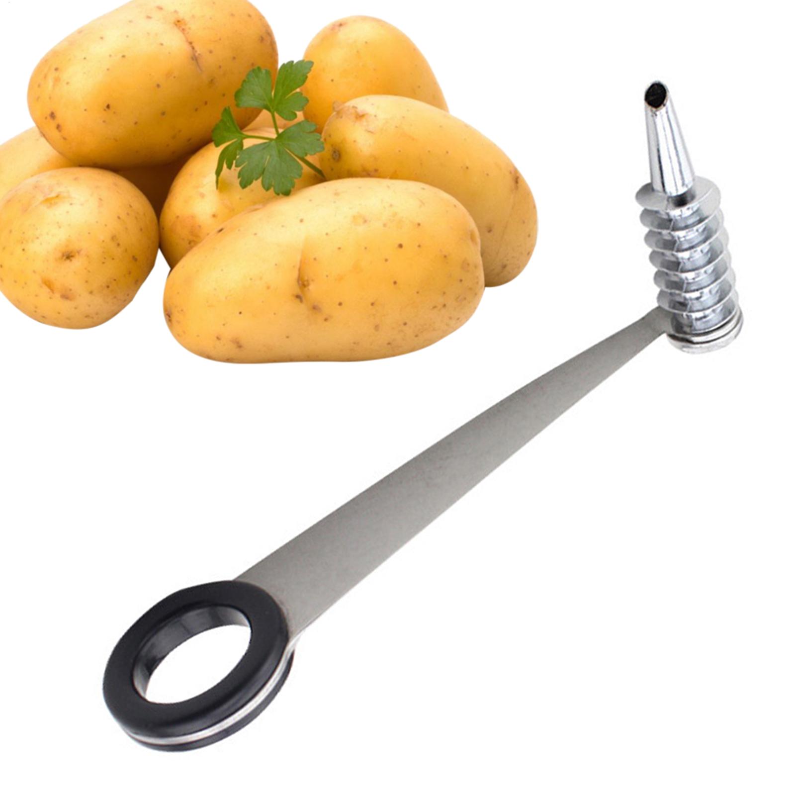 قطاعة حلزونية من الفولاذ المقا - مراجعة Kitchen Gadgets Men وسعره